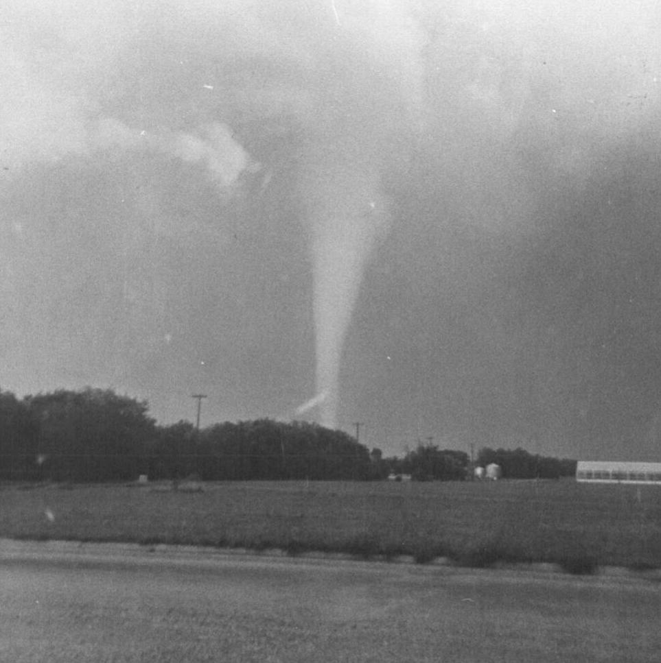 It's a Twister!